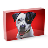 Personalized Pet Acrylic Block - Color