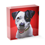 Personalized Pet Acrylic Block - Color