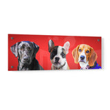 Personalized Pet Portrait Acrylic Prints - Panorama