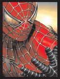 Spider-Man Plaque