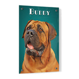 Personalized Pet Portrait Acrylic Prints