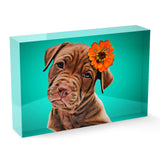 Personalized Pet Acrylic Block - Color