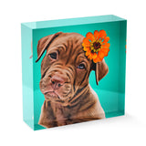 Personalized Pet Acrylic Block - Color