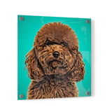 Personalized Pet Portrait Acrylic Prints - Square