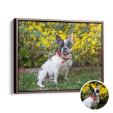 Personalized Pet Portrait from Photo Canvas