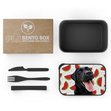 Personalized Pet Bento Box - Watermelon