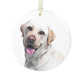 Personalized Pet Glass Ornament