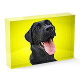 Personalized Pet Acrylic Block - Color