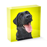 Personalized Pet Acrylic Block - Color