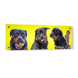 Personalized Pet Portrait Acrylic Prints - Panorama