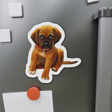 Personalized Pet Kiss-Cut Magnets