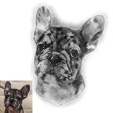 Personalized Framed Pet Portrait Canvas - Drawing Style