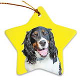 Personalized Ceramic Pet Ornament