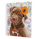 Personalized Framed Pet Portrait Canvas - Paisley