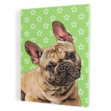 Personalized Pet Portrait Canvas - Stars