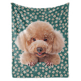 Personalized Pet Blanket - Meadow