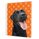 Personalized Pet Portrait Canvas - Stars