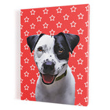 Personalized Pet Portrait Canvas - Stars