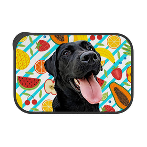 Personalized Pet Bento Box - Fruit Salad