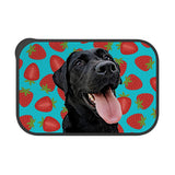 Personalized Pet Bento Box - Strawberry