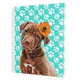 Personalized Pet Portrait Canvas - Paws