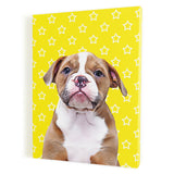 Personalized Pet Portrait Canvas - Stars