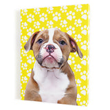 Personalized Pet Portrait Canvas - Paws